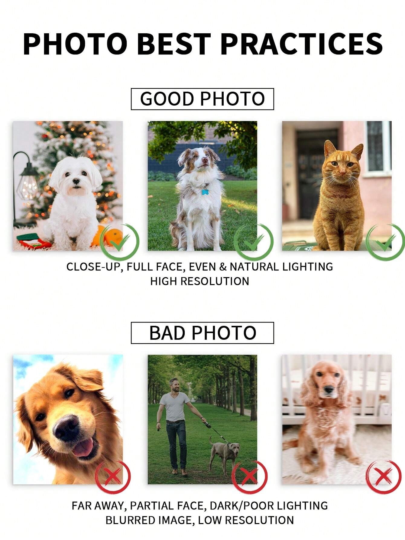 Porta-retrato personalizado co - Pet Portrait Custom avaliação e preço